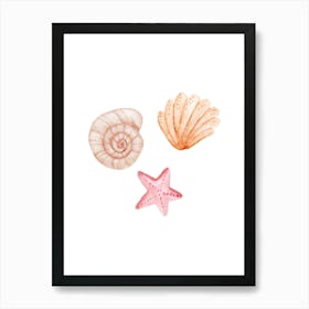 Colored seashells. Seashells. Summer. 1 Art Print