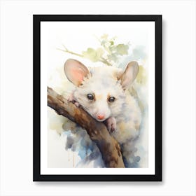 Light Watercolor Painting Of A Sleeping Possum 7 Art Print