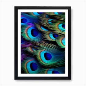 Peacock Feathers Art Print