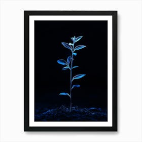 Tree In The Dark 41 Art Print