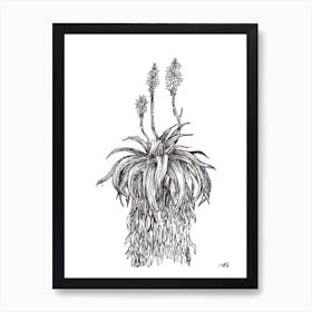 Black and White Aloe with Three Flowers Art Print