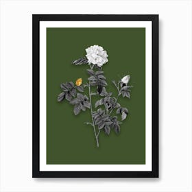 Vintage Pink Rosebush Black and White Gold Leaf Floral Art on Olive Green n.1088 Art Print