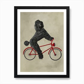 Poodle On Bicycle Art Print