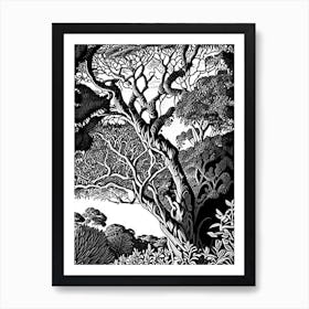 Atherton Tableland S Curtain Fig Tree, 1, Australia Linocut Black And White Vintage Art Print