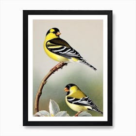 American Goldfinch 2 James Audubon Vintage Style Bird Art Print