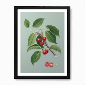 Vintage Sour Cherry Botanical Art on Mint Green n.0817 Art Print