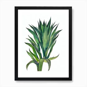 Blue Agave Plants (Agave Parryi) Watercolor Art Print