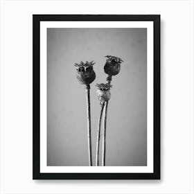 Black And White Flowers Art Print