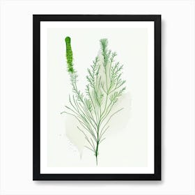 Dill Herb Minimalist Watercolour 2 Art Print