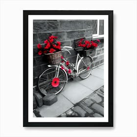 Poppies On A Bike Art Print