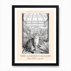 The Garden Gallery, Royal Botanic Gardens Melbourne Australia, Cats Line Art 4  Art Print