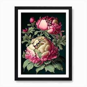 Peonies Black Vintage Botanical Art Print