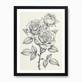 Roses Sketch 30 Art Print
