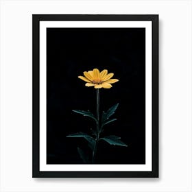 Single Yellow Flower 35 Art Print