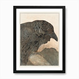 Crow (1878–1908), Theo Van Hoytema Art Print