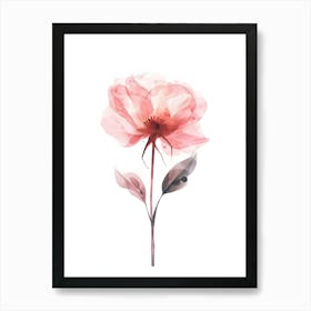 Watercolor Rose 2 Art Print