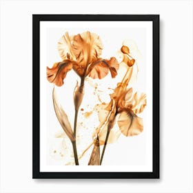 Orange Iris 1 Art Print