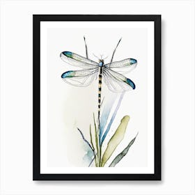 Common Baskettail Dragonfly Minimalist Watercolour 1 Art Print