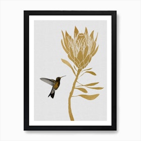 Hummingbird & Flower I Art Print