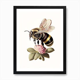 Apis Bee 3 Vintage Art Print