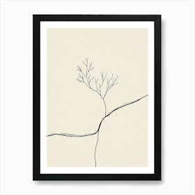 Tree On A Rock Art Print