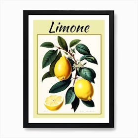 Vintage Citrus Lemon Art Print