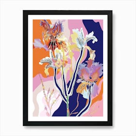 Colourful Flower Illustration Cineraria 4 Art Print