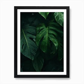 Green Leaves In The Jungle Art Print