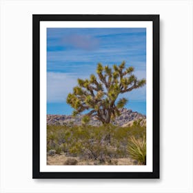 Joshua Tree Art Print