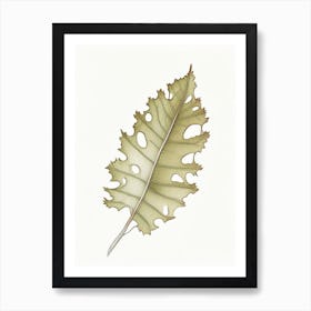 Oak Leaf 1 Art Print