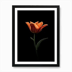 Orange Tulip Art Print