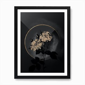 Shadowy Vintage White Damask Rose Botanical in Black and Gold n.0076 Art Print