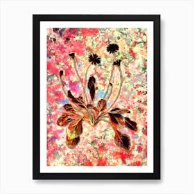 Impressionist Daisy Flowers Botanical Painting in Blush Pink and Gold Art Print