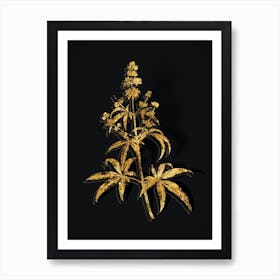 Vintage Chaste Tree Botanical in Gold on Black n.0350 Art Print