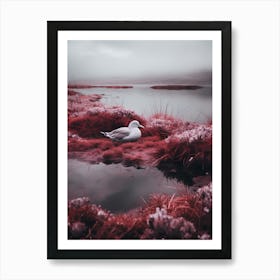 Red Seagull Art Print