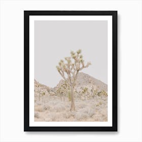 Joshua Tree Desert Art Print