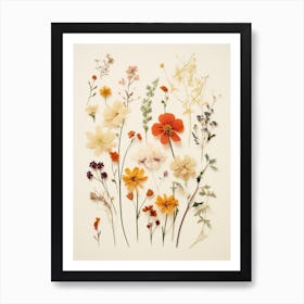 Pressed Flower Botanical Art Wildflowers 6 Art Print