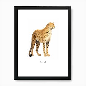 Cheetah Kids Animal Poster Art Print