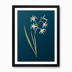 Vintage Gladiolus Cuspidatus Botanical Art on Teal Blue n.0098 Art Print