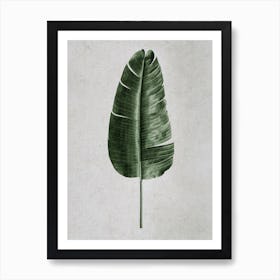 Tropical Banana Leaf Art Print