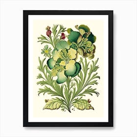 Wallflower Floral 1 Botanical Vintage Poster Flower Art Print