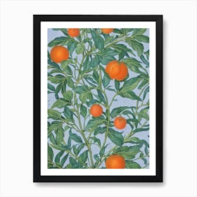 Clementine Vintage Botanical Fruit Art Print