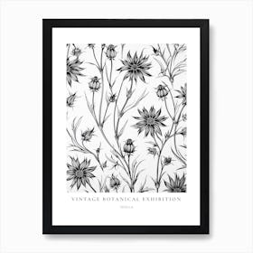 Nigella 2 B&W Vintage Botanical Poster Art Print