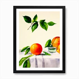 Grapefruit Italian Watercolour fruit Art Print