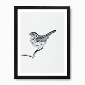 Hermit Thrush B&W Pencil Drawing 3 Bird Art Print