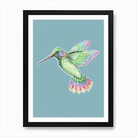 Hummingbird Art Print