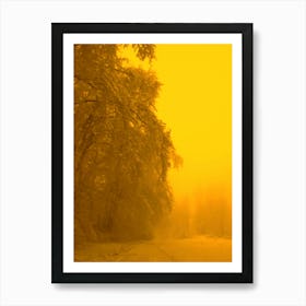 Yellow Road and Tree In Winter Art Print