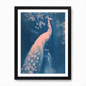 Peacock In The Fountain Pink & Blue Cyanotype Inspired 2 Art Print