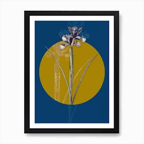 Vintage Botanical Spanish Iris on Circle Yellow on Blue Art Print