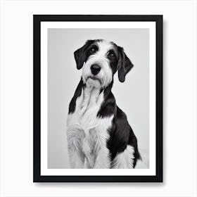 Pointer (German Wirehaired) B&W Pencil Dog Art Print